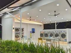 gallery_11